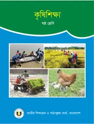 Cover of Agriculture Studies