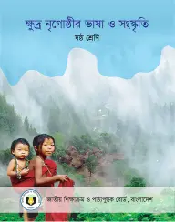 Cover of Minority Language and Culture
